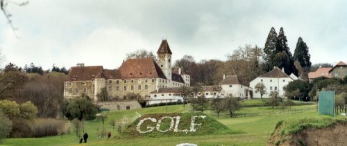 goldegg61 goldegg61